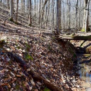 Photo of SOLD!!  5 Acres of Residential Lake & Hunting Land in Bedford County VA!