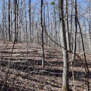 Photo of SOLD!!  5 Acres of Residential Lake & Hunting Land in Bedford County VA!