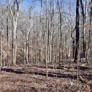 Photo of SOLD!!  5 Acres of Residential Lake & Hunting Land in Bedford County VA!