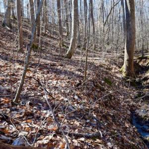 Photo of SOLD!!  5 Acres of Residential Lake & Hunting Land in Bedford County VA!