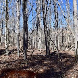Photo of SOLD!!  5 Acres of Residential Lake & Hunting Land in Bedford County VA!