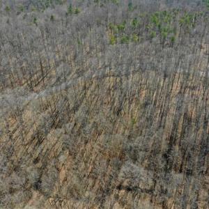 Photo of SOLD!!  5 Acres of Residential Lake & Hunting Land in Bedford County VA!