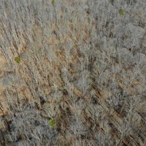 Photo of SOLD!!  5 Acres of Residential Lake & Hunting Land in Bedford County VA!