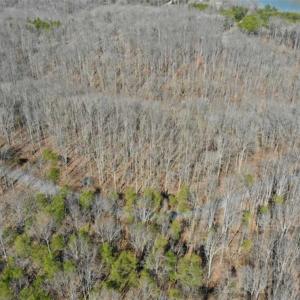 Photo of SOLD!!  5 Acres of Residential Lake & Hunting Land in Bedford County VA!