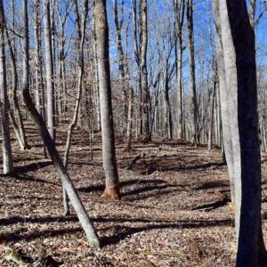 Photo of SOLD!!  5 Acres of Residential Lake & Hunting Land in Bedford County VA!