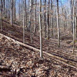 Photo of SOLD!!  5 Acres of Residential Lake & Hunting Land in Bedford County VA!