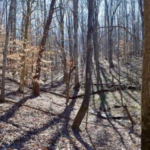 Photo of REDUCED! 16 Acres of Residential Lake & Hunting Land  in Bedford County VA!