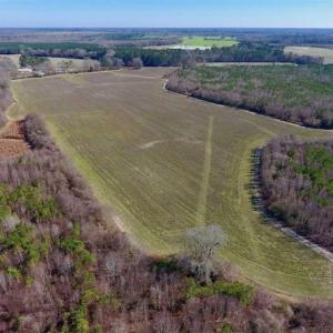 Photo of SOLD!!  121.43 Acres of Farm and Timber Land For Sale in Edgecombe County NC!
