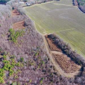 Photo of SOLD!!  121.43 Acres of Farm and Timber Land For Sale in Edgecombe County NC!