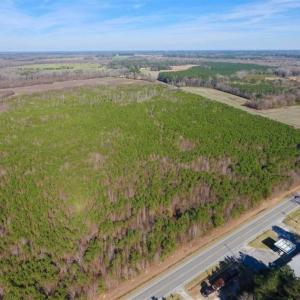 Photo of SOLD!!  121.43 Acres of Farm and Timber Land For Sale in Edgecombe County NC!
