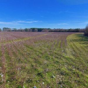 Photo of SOLD!!  121.43 Acres of Farm and Timber Land For Sale in Edgecombe County NC!