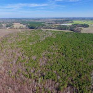 Photo of SOLD!!  121.43 Acres of Farm and Timber Land For Sale in Edgecombe County NC!