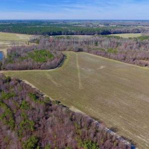 Photo of SOLD!!  121.43 Acres of Farm and Timber Land For Sale in Edgecombe County NC!