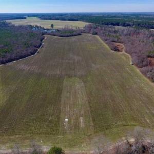 Photo of SOLD!!  121.43 Acres of Farm and Timber Land For Sale in Edgecombe County NC!