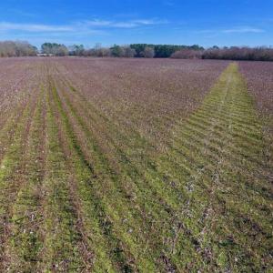 Photo of SOLD!!  121.43 Acres of Farm and Timber Land For Sale in Edgecombe County NC!