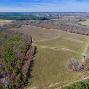 Photo of SOLD!!  121.43 Acres of Farm and Timber Land For Sale in Edgecombe County NC!