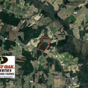 Photo of SOLD!!  121.43 Acres of Farm and Timber Land For Sale in Edgecombe County NC!