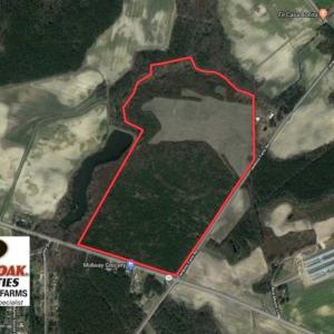 Photo of SOLD!!  121.43 Acres of Farm and Timber Land For Sale in Edgecombe County NC!