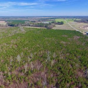 Photo of SOLD!!  121.43 Acres of Farm and Timber Land For Sale in Edgecombe County NC!