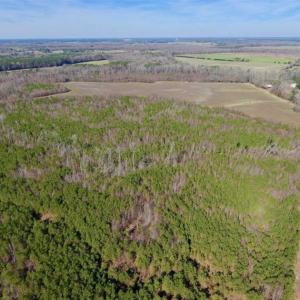Photo of SOLD!!  121.43 Acres of Farm and Timber Land For Sale in Edgecombe County NC!