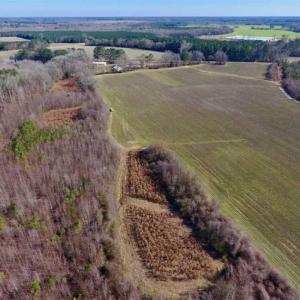 Photo of SOLD!!  121.43 Acres of Farm and Timber Land For Sale in Edgecombe County NC!