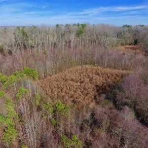Photo of SOLD!!  121.43 Acres of Farm and Timber Land For Sale in Edgecombe County NC!