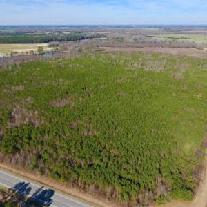 Photo of SOLD!!  121.43 Acres of Farm and Timber Land For Sale in Edgecombe County NC!