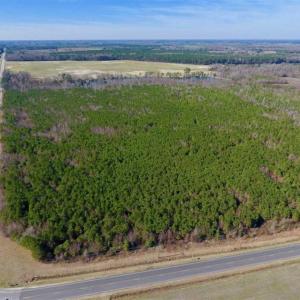 Photo of SOLD!!  121.43 Acres of Farm and Timber Land For Sale in Edgecombe County NC!