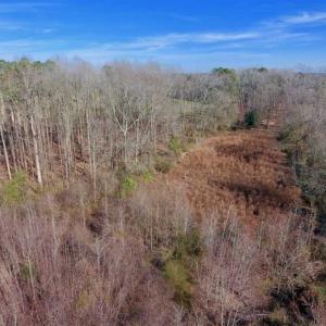 Photo of SOLD!!  121.43 Acres of Farm and Timber Land For Sale in Edgecombe County NC!