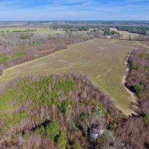 Photo of SOLD!!  121.43 Acres of Farm and Timber Land For Sale in Edgecombe County NC!