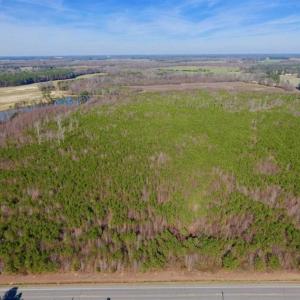 Photo of SOLD!!  121.43 Acres of Farm and Timber Land For Sale in Edgecombe County NC!