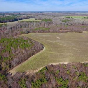 Photo of SOLD!!  121.43 Acres of Farm and Timber Land For Sale in Edgecombe County NC!