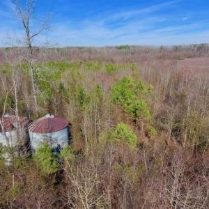 Photo of SOLD!!  121.43 Acres of Farm and Timber Land For Sale in Edgecombe County NC!