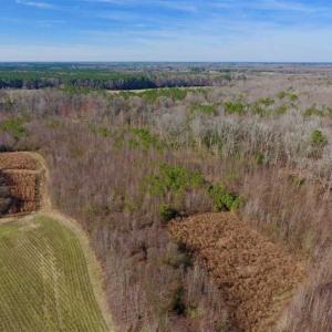 Photo of SOLD!!  121.43 Acres of Farm and Timber Land For Sale in Edgecombe County NC!