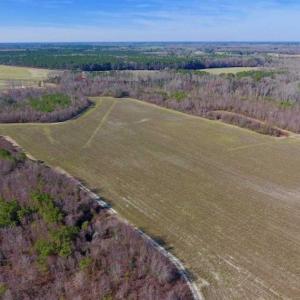 Photo of SOLD!!  121.43 Acres of Farm and Timber Land For Sale in Edgecombe County NC!