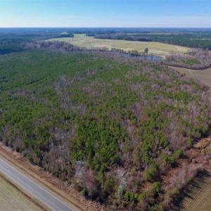 Photo of SOLD!!  121.43 Acres of Farm and Timber Land For Sale in Edgecombe County NC!