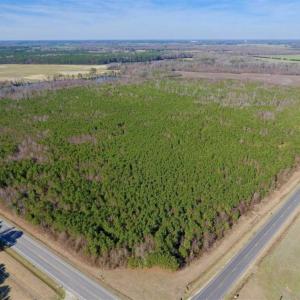 Photo of SOLD!!  121.43 Acres of Farm and Timber Land For Sale in Edgecombe County NC!