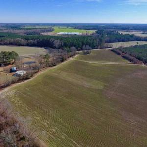 Photo of SOLD!!  121.43 Acres of Farm and Timber Land For Sale in Edgecombe County NC!