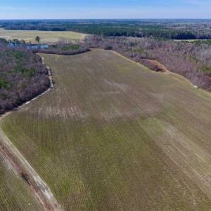 Photo of SOLD!!  121.43 Acres of Farm and Timber Land For Sale in Edgecombe County NC!