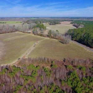 Photo of SOLD!!  121.43 Acres of Farm and Timber Land For Sale in Edgecombe County NC!