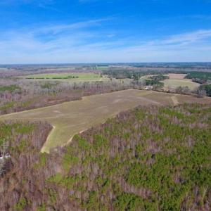 Photo of SOLD!!  121.43 Acres of Farm and Timber Land For Sale in Edgecombe County NC!