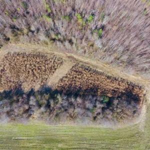 Photo of SOLD!!  121.43 Acres of Farm and Timber Land For Sale in Edgecombe County NC!