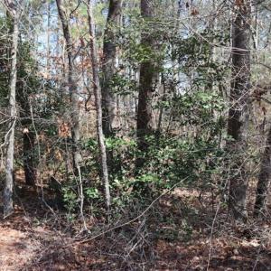 Photo of UNDER CONTRACT!!  1.1 Acres of Residential Land for Sale in Bladen County NC!