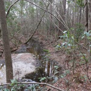 Photo of UNDER CONTRACT!!  1.1 Acres of Residential Land for Sale in Bladen County NC!