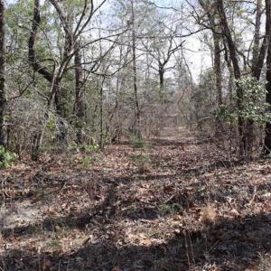 Photo of UNDER CONTRACT!!  1.1 Acres of Residential Land for Sale in Bladen County NC!