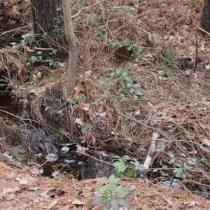 Photo of UNDER CONTRACT!!  1.1 Acres of Residential Land for Sale in Bladen County NC!