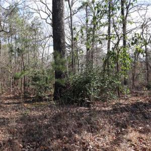 Photo of UNDER CONTRACT!!  1.1 Acres of Residential Land for Sale in Bladen County NC!