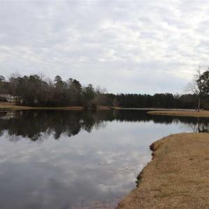 Photo of UNDER CONTRACT!!  1.1 Acres of Residential Land for Sale in Bladen County NC!