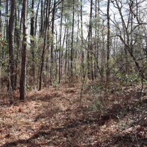 Photo of UNDER CONTRACT!!  1.1 Acres of Residential Land for Sale in Bladen County NC!