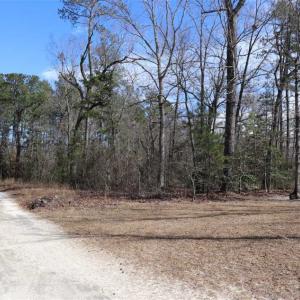 Photo of UNDER CONTRACT!!  1.1 Acres of Residential Land for Sale in Bladen County NC!